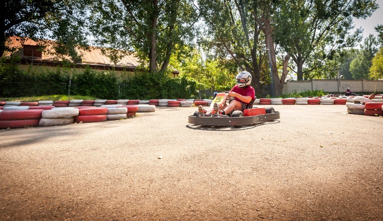 Как выбрать карт для начинающего гонщика Как выбрать карт для начинающего гонщика